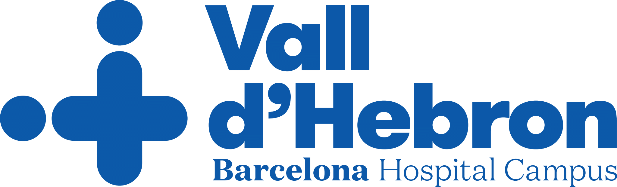 Vall D'Hebron logo